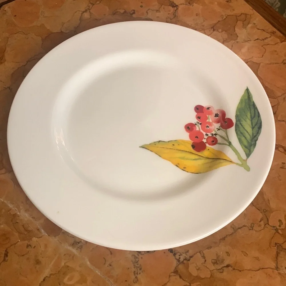 Crate & Barrel Mary Woodin Winter Berries Appetizer plate